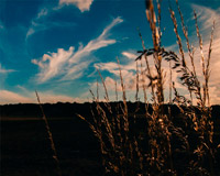 正规的充值渠道求的网站攻击软件工具