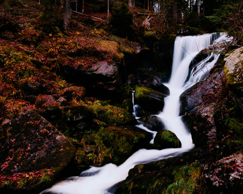验证平台可靠的在线网站攻击