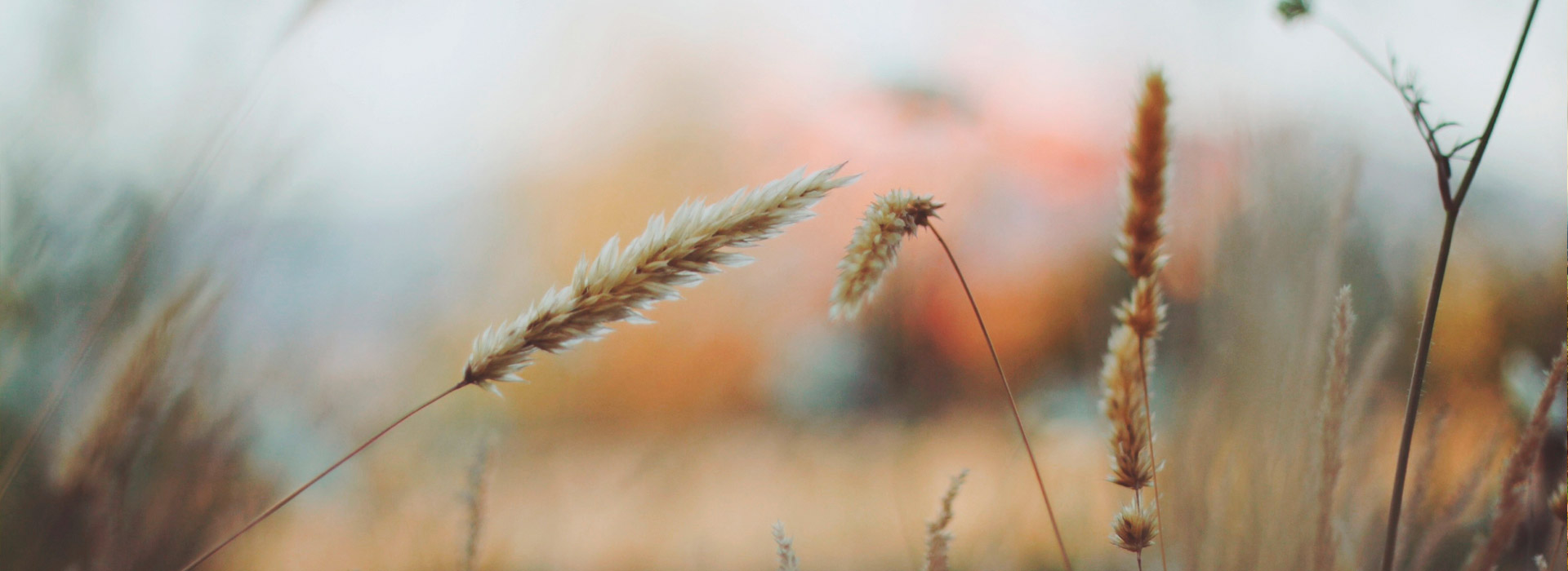 DDOS压力测试网页端